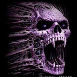 Meet your Posher, Elijah